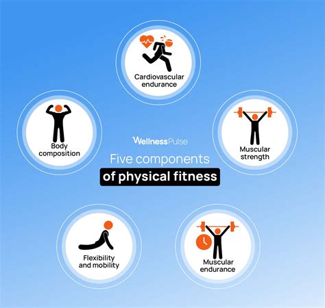 5 Components Of Fitness