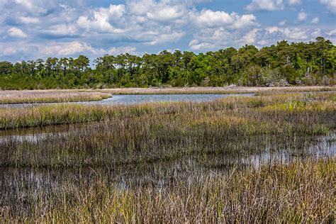 50 Swansboro Stock Photos Pictures Amp Royalty Free Images Istock