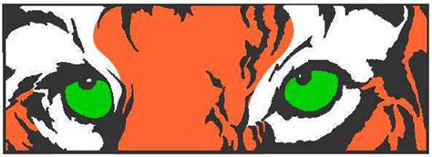 About The South View Marching Tigers