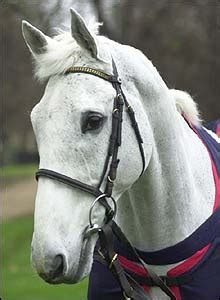 Bbc Sport Other Sport Horse Racing Obituary Desert Orchid