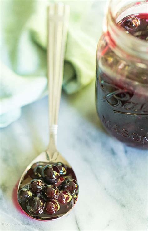 Blueberry Topping Southern Shelle