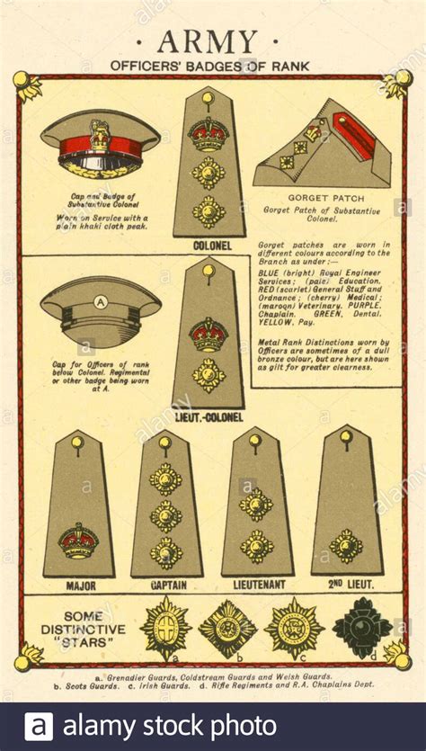 British Army Rank Stock Illustrations 36 British Army Rank Stock Illustrations Vectors Clipart Dreamstime