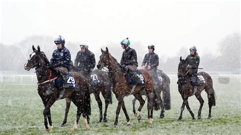 Cheltenham Snow Chaos As Day Two Of Racing Festival Hit By Surprise