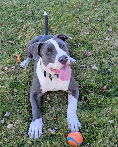 Couldn Amp 39 T Edit Post But Here Are Our Boys Results A Few Surprises R