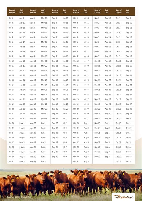 Cow Gestation Calendar