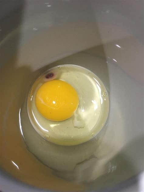 Cracked This To Make Scrambled Eggs This Morning It S From A Carton Of Cage Free Eggs What Is This R Whatisthisthing