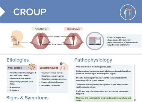 Croup Vs Whooping Cough Free Cheat Sheet Lecturio