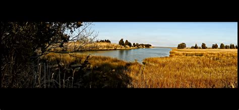 Elevation Of Waretown Ocean Twp Nj Usa Elevation Finder