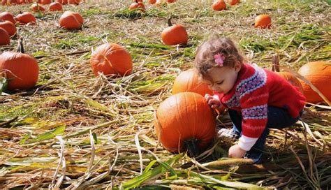 Fall Fun In Canada Chudleighs Apple Farm Baby Loves To Travel