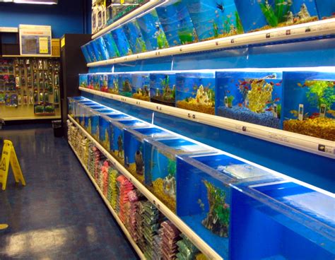 Fish Stores In Colorado 77 Locations Aquarium Fish Stores