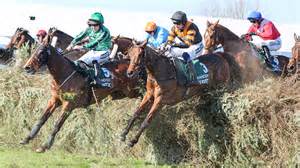 Grand National Runners And Riders