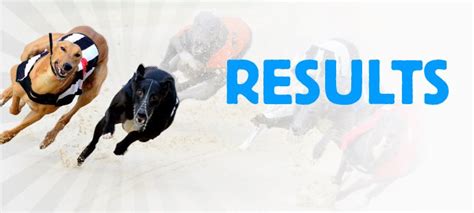 Greyhound Racing Results Form Amp Betting Tips Timeform