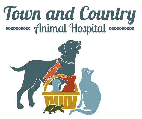 Hattiesburg Ms 39402 Veterinarians Town And Country Animal Hospital