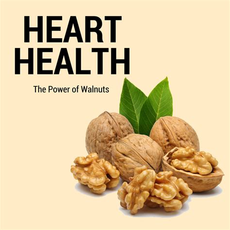 Health Benefits Of Walnuts And Ways To Add Them To Your Diet The Pain Management Group