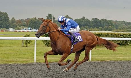 Huboor Jim Crowley Wins Comparebettingsites Ebf Editorial Stock Photo Stock Image Shutterstock Editorial
