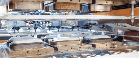 Images From The World Of Dry Molded Fiber Pulpac