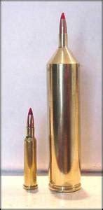 It Amp 39 S All About The Wildcat Cartridge The Shooter Amp 39 S Log