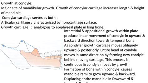Length Of Mandible: Causes, Symptoms, And Treatments