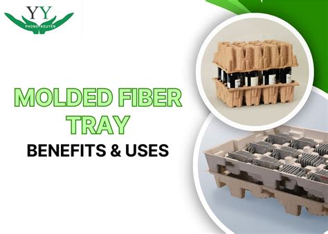 Molded Fiber Trays What They Are And Why They Matter