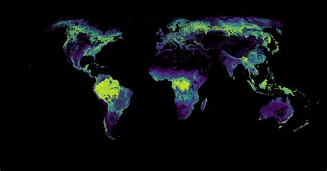 Multiple Cases Here Oop U Symmy546 R Phantomborders