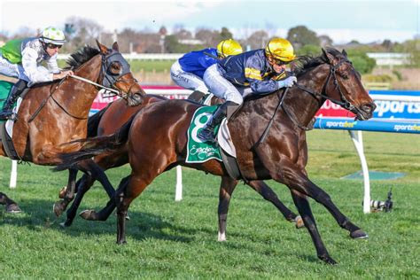 Newmarket Handicap Results And Replay 2024 Just Horse Racing