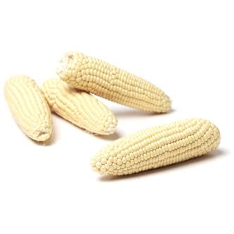 Order Jersey Fresh White Corn Fast Delivery