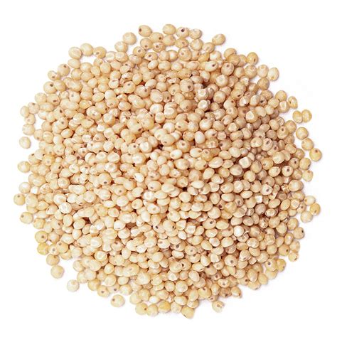 Organic Sorghum Grain Buy In Bulk From Food To Live Organic Sorghum Grain Gluten Free