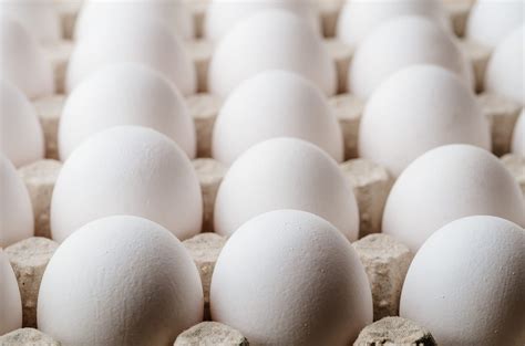 Organic White Eggs One Of The Largest Egg Suppliers In World Eggs Unlimited