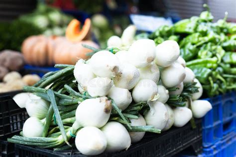 Peeled Bulb Onion With Sprout Are In Box In Grocery Store Stock Photo