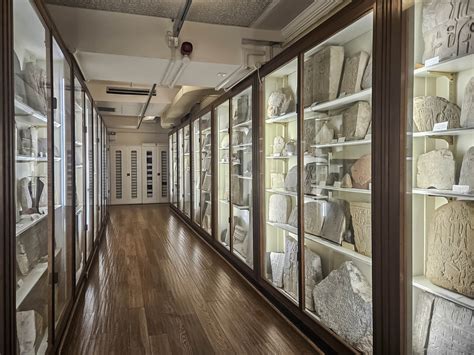 Petrie Museum Of Egyptian Archaeology Wikipedia