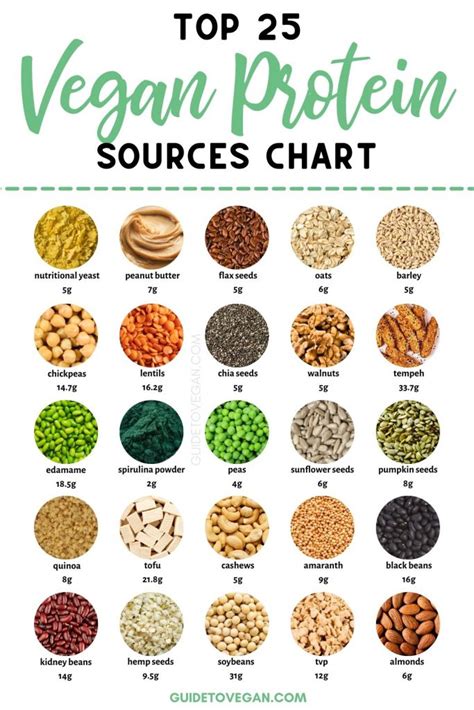 Protein In Vegetables Chart Vegetarian Protein Sources