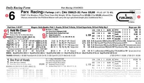 Race Form Cards Explained Reading Form And Abbreviations
