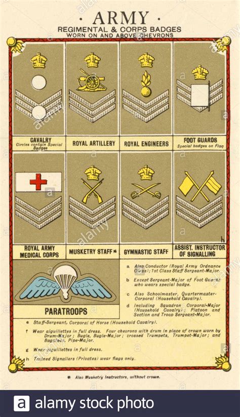 Ranks And Insignia Of The British Armed Forces Page 3 World War Ii Documents Illinois Digital Archives