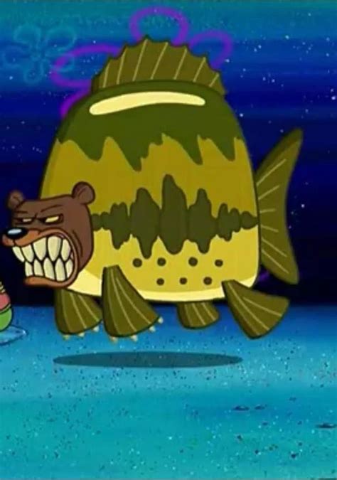 Understanding Sea Bear Spongebob: Origins, Traits, And Impact