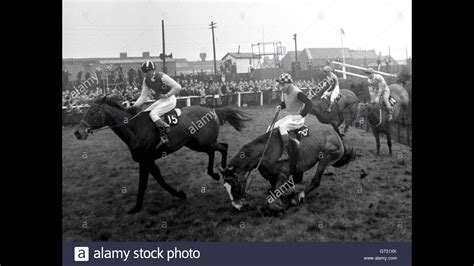 Team Spirit Wins 1964 Grand National Print Art Prints Posters Puzzles From Memory Lane