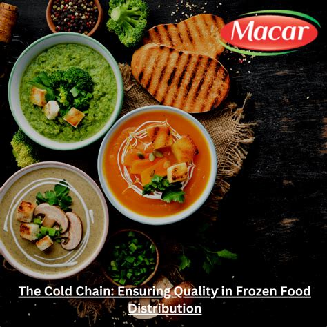 The Cold Chain Ensuring Quality In Frozen Food Distribution