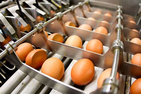 The Fda Just Recalled More Than 20 Million Eggs Here S What You Need To Know