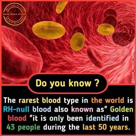 The Rarest Blood Type In The World Is Rh Null Also Called Golden Blood Fewer Than 50 People Globally Are Known To Have This Unique Blood Type Which Lacks All Rh Antigens Its