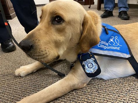 University Of Delaware Has A New Comfort Dog On The Force