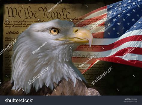 Us Flag Bald Eagle Constitution Montage Stock Photo 1618988 Shutterstock