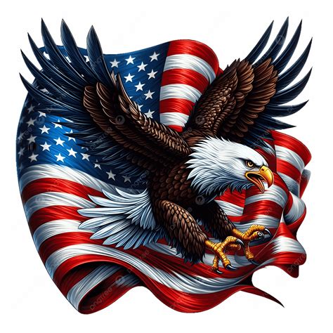 Us Flag With Bald Eagle
