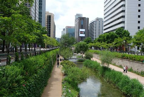 Visiting Seoul In June Everything You Need To Know World Travel Toucan