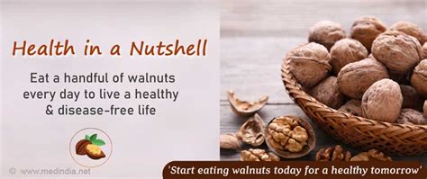 Walnuts A Powerhouse For Better Health As We Age