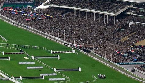 William Hill Cheltenham Non Runner Money Back Novices Limited Handicap Chase Gbb Race Newbury Results Sporting Life