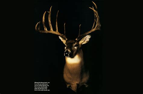 World Record Whitetail Deer